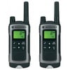 Motorola TLKR T-80