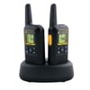 Motorola XTB 446