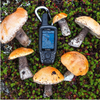 Garmin GPSMAP 64st портативный GPS Глонасс навигатор